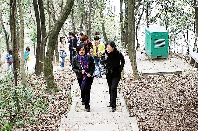 亚洲AV永久无码精品三区在线4