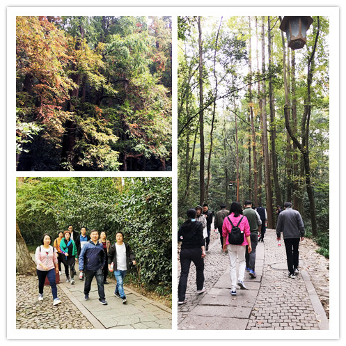 亚洲AV永久无码精品三区在线4